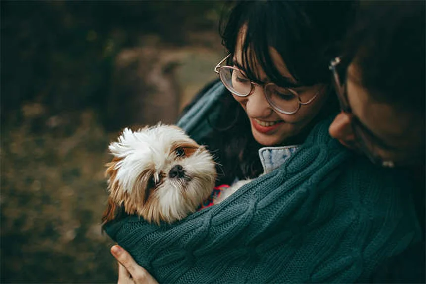 Il mio cane è arrabbiato con me? Scopri la verità!